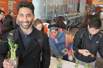 Grad students growing bamboo plants